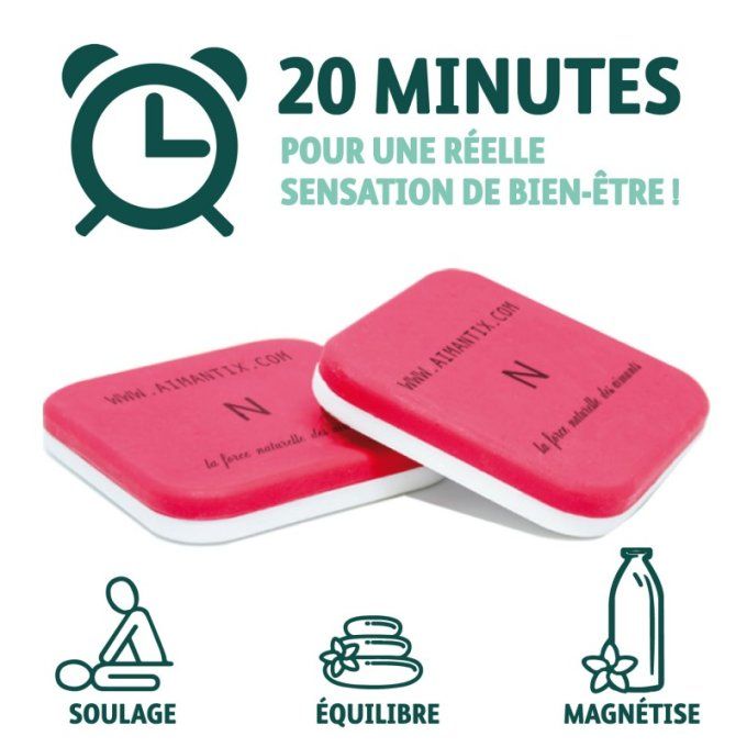 Palets Magnetiques