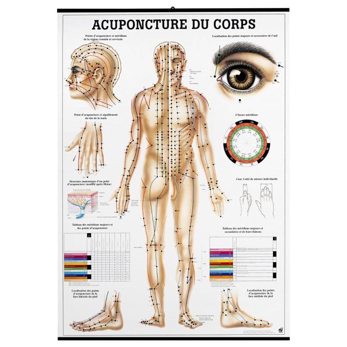 Acupuncture du corps
