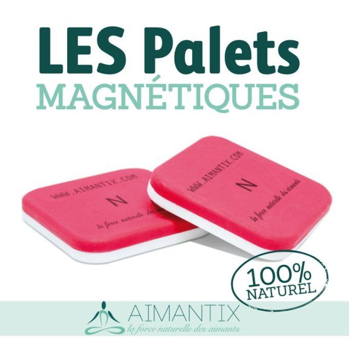 Palets Magnetiques