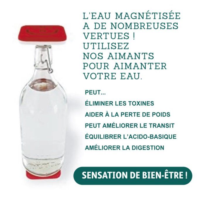 Palets Magnetiques